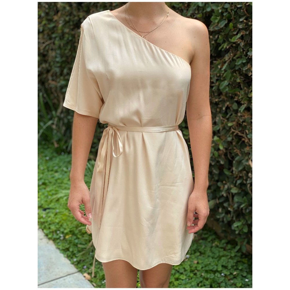 Alice & Olivia Blush One Shoulder Silk Mini Dress